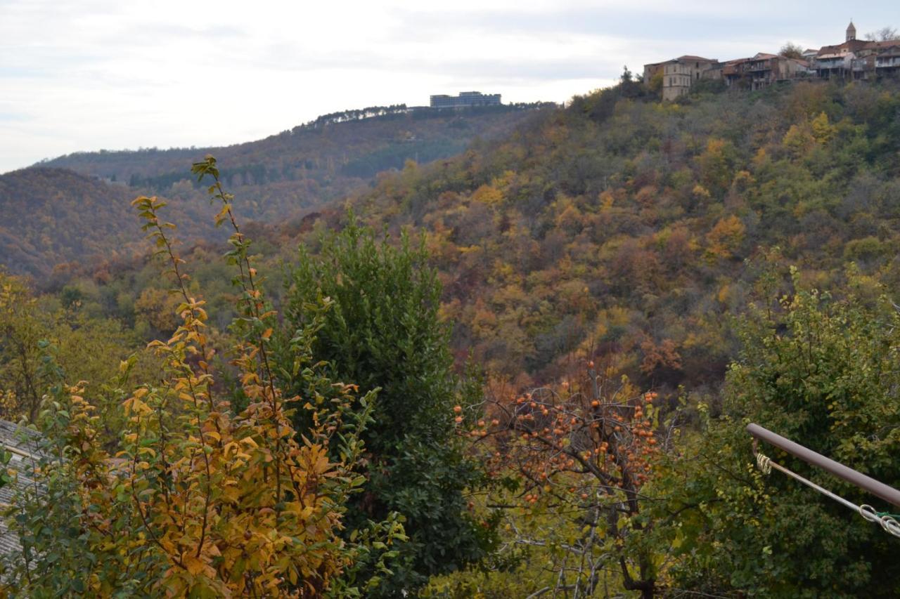 Tuta House Sighnaghi Ξενοδοχείο Εξωτερικό φωτογραφία