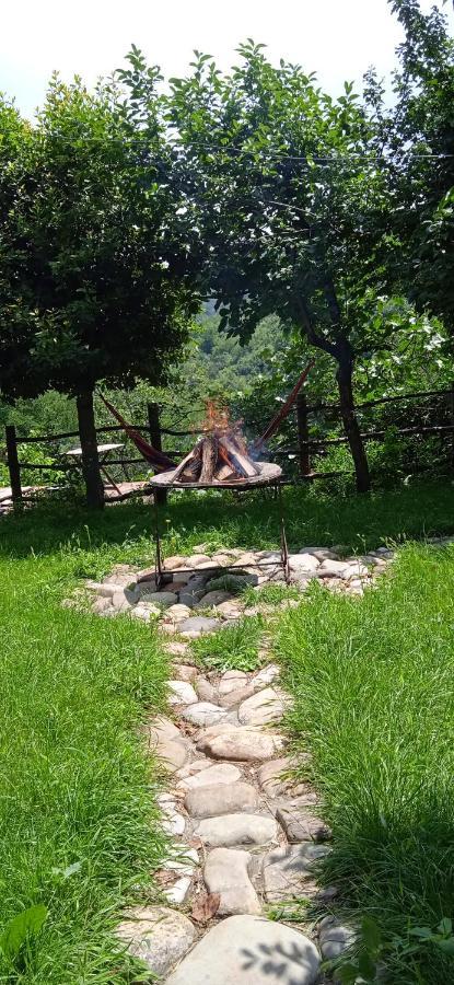Tuta House Sighnaghi Ξενοδοχείο Εξωτερικό φωτογραφία