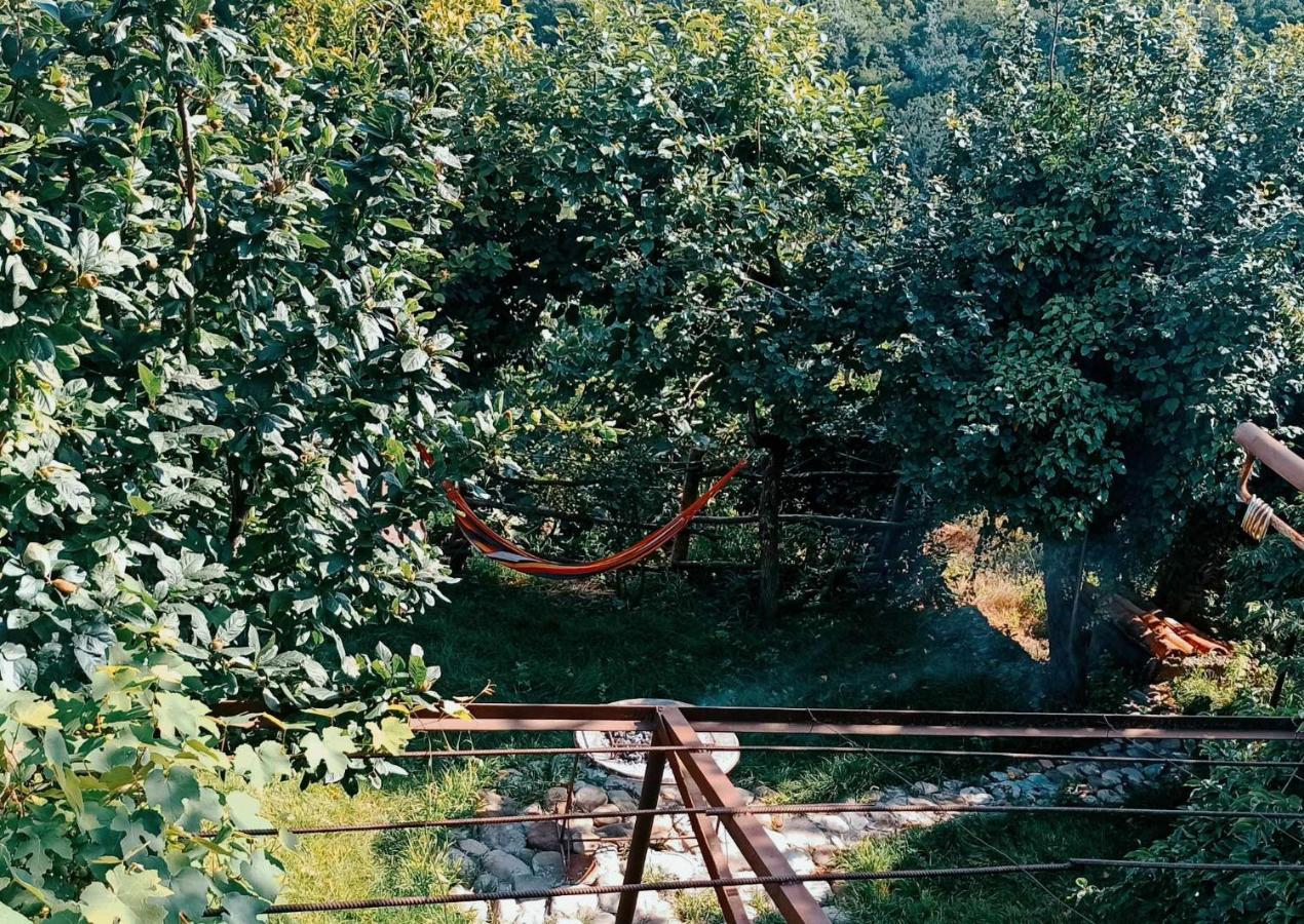 Tuta House Sighnaghi Ξενοδοχείο Εξωτερικό φωτογραφία