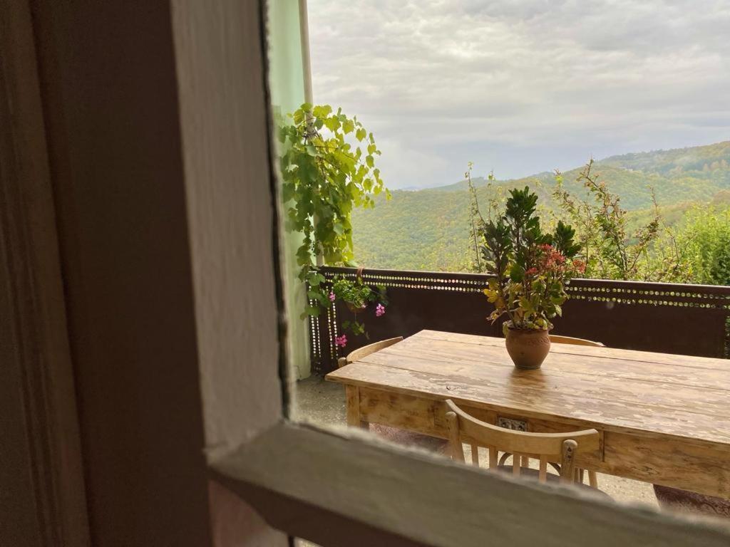 Tuta House Sighnaghi Ξενοδοχείο Εξωτερικό φωτογραφία
