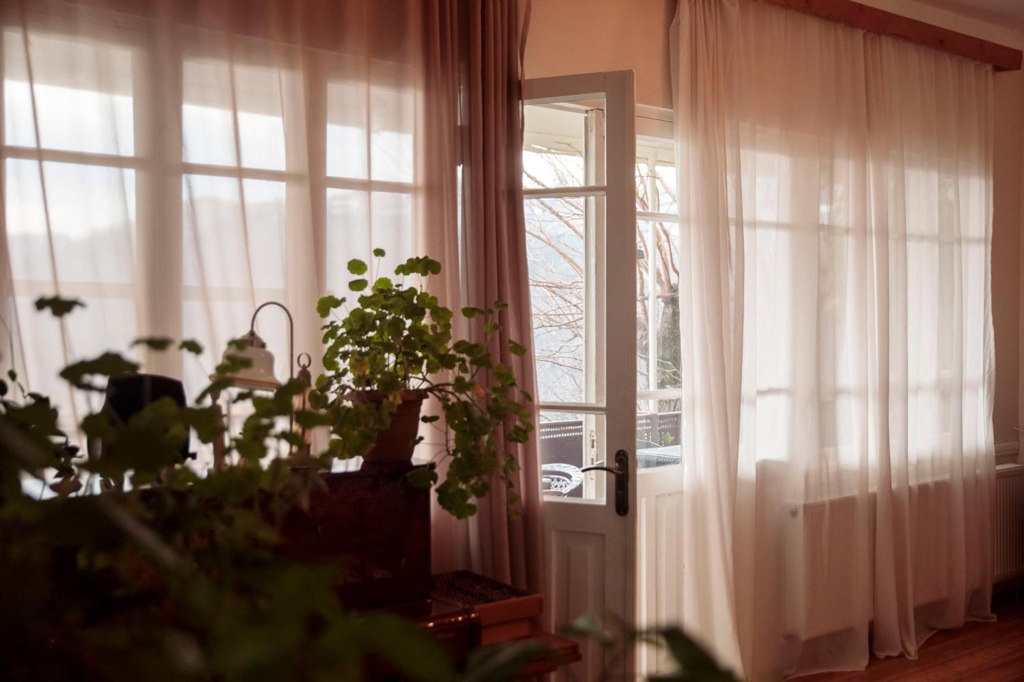 Tuta House Sighnaghi Ξενοδοχείο Εξωτερικό φωτογραφία